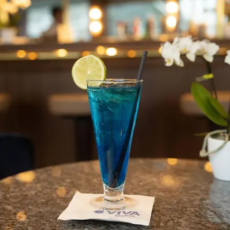 Viva Riverside Frankfurt Botel Frankfurt am Main